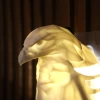 Creative eagle night light, cool wall decoration light, indoor party atmosphere light, animal eagle decorative night light Application Scenario